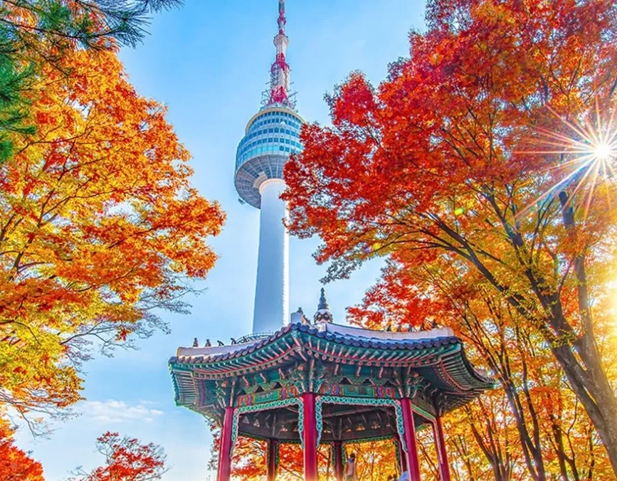 여행 팁