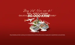 Vé máy bay Incheon - Hà Nội & TP. Hồ Chí Minh ưu đãi từ 80.000 KRW